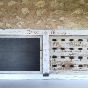 Le Projet du Chateau de Charnizay